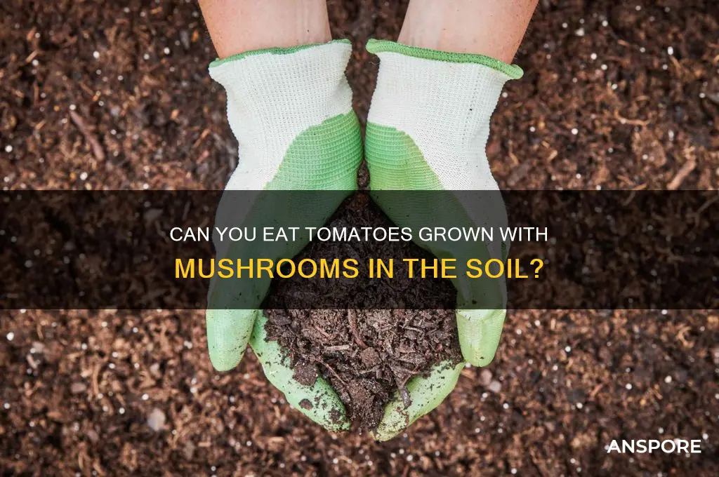 are tomatoes that have mushrooms in soil okay to eat