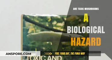Mushroom Toxicity: Understanding the Biological Hazards