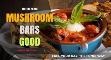 Tre House Mushroom Bars Review: Are They Worth the Hype?