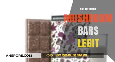 Are Tre House Mushroom Bars Legit? A Comprehensive Review