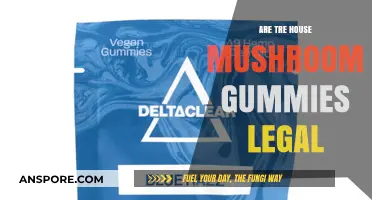 Are Tre House Mushroom Gummies Legal? Exploring the Legal Landscape