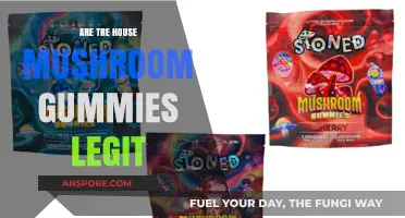 Mushroom Gummies: Do Tree House's Work?