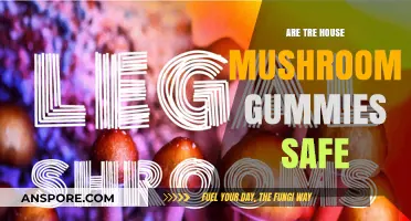 Mushroom Gummies: Safe or Risky?