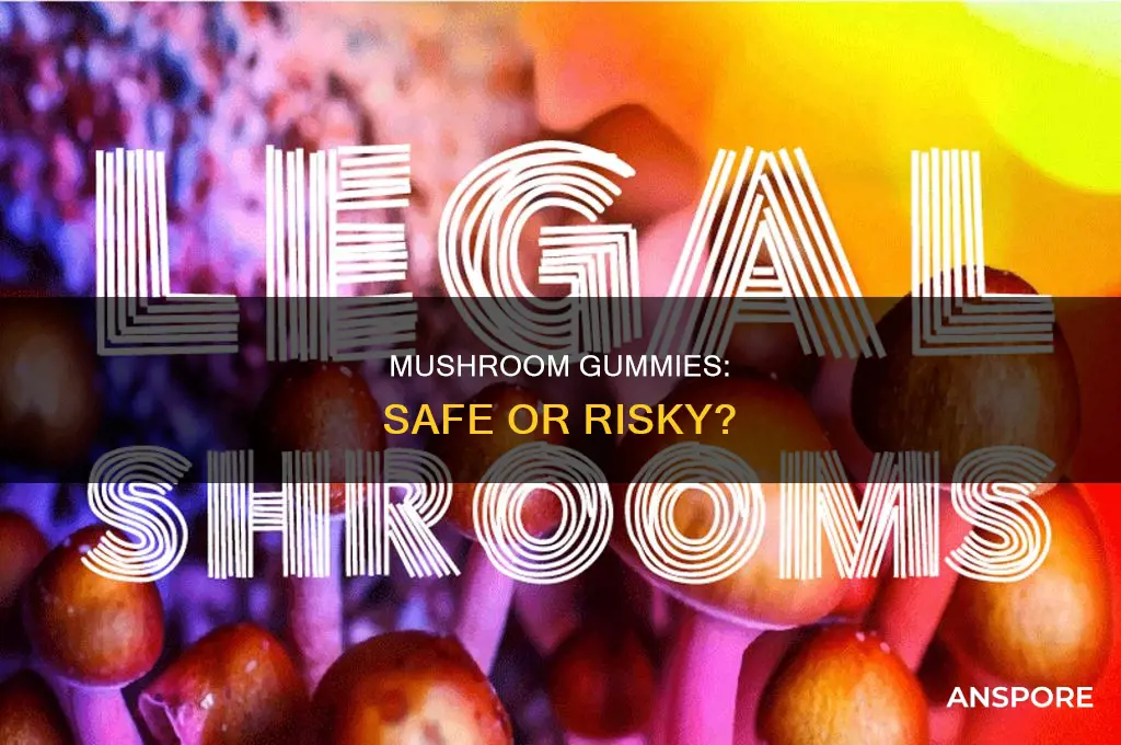 are tre house mushroom gummies safe