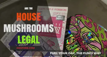 Are Tre House Mushrooms Legal? Exploring the Legal Landscape