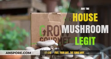 Mushroom Magic: Are Tree House Mushrooms Legit?