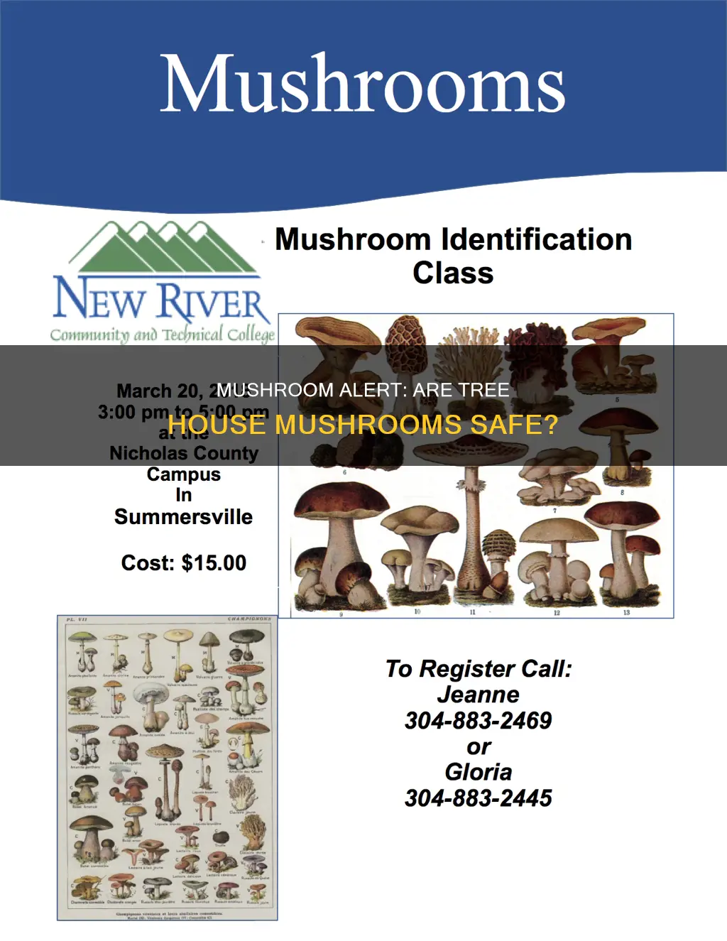 are tre house mushrooms safe