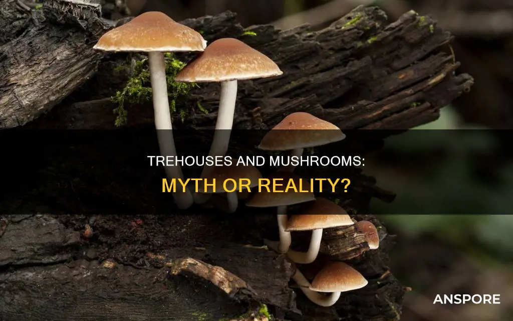 are trehouse mushrooms real