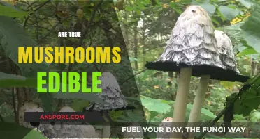 Are True Mushrooms Edible? A Guide to Safe Foraging