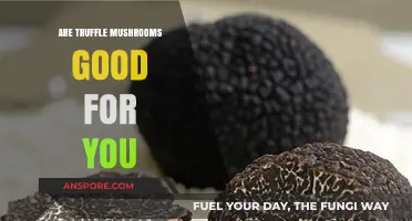 Truffle Mushrooms: Unveiling Their Health Benefits and Nutritional Value