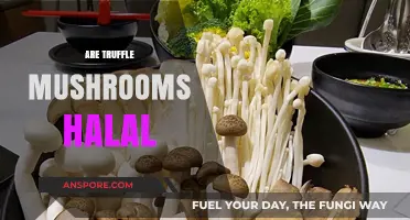 Truffle Mushrooms: Halal or Haram?