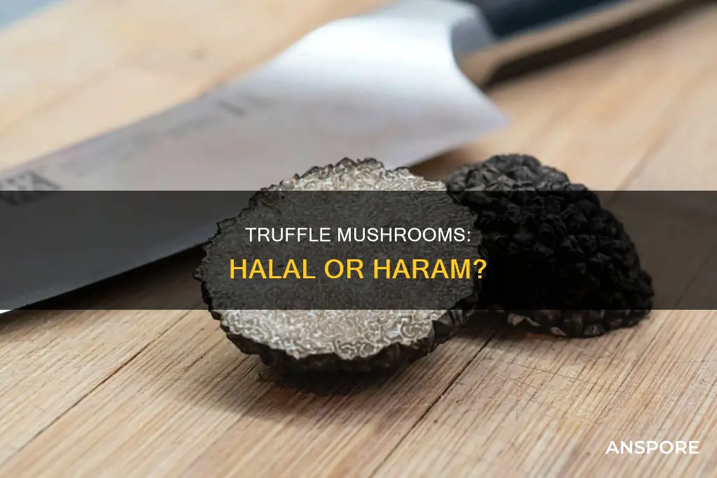are truffle mushrooms halal