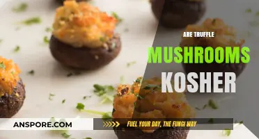 Kosher Truffles: Are These Mushrooms Kosher or Not?