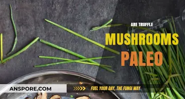 Truffle Mushrooms: Paleo-Friendly or Not?