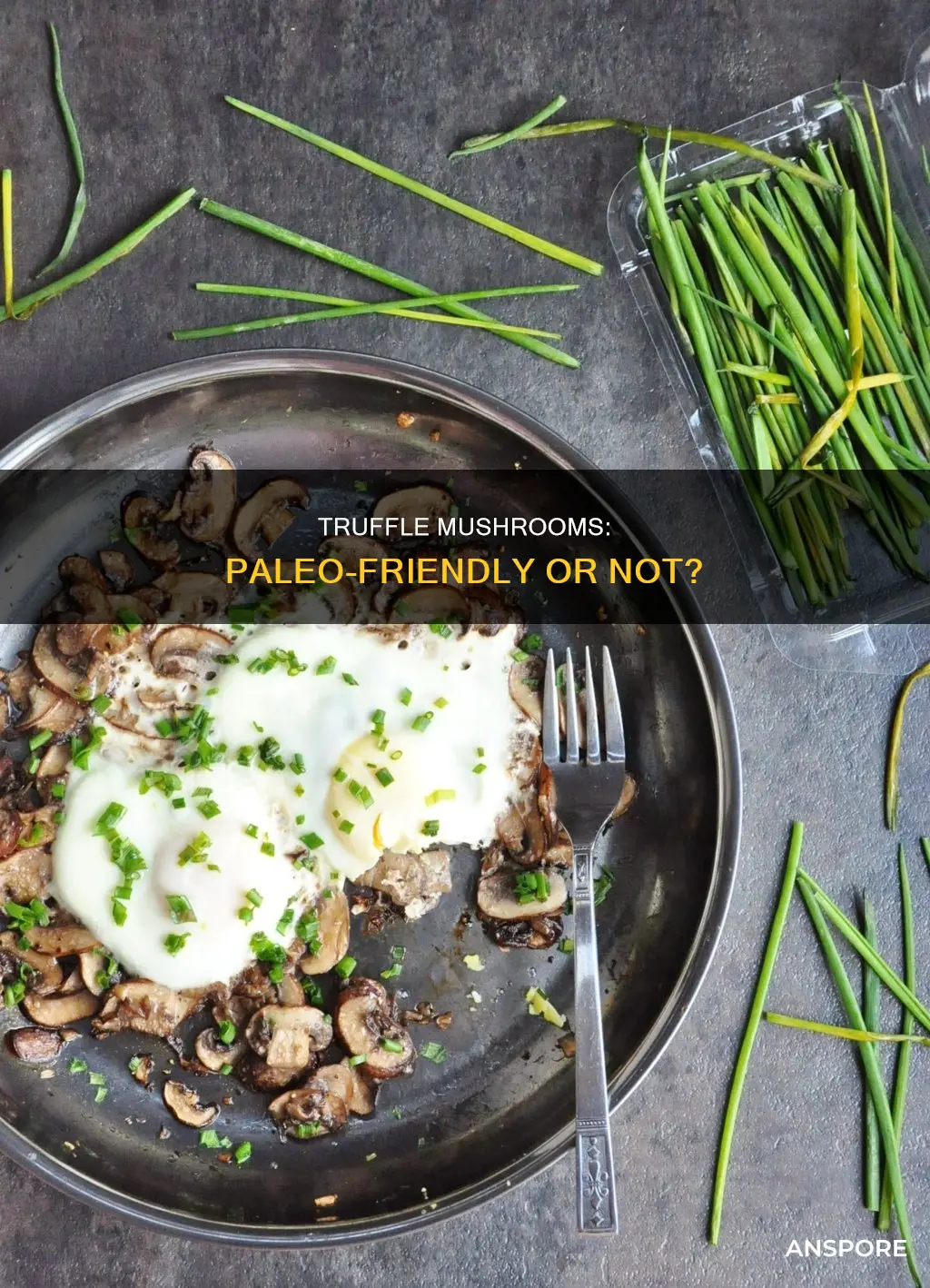 are truffle mushrooms paleo