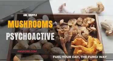 Magic Mushrooms: Are Truffles Psychoactive?