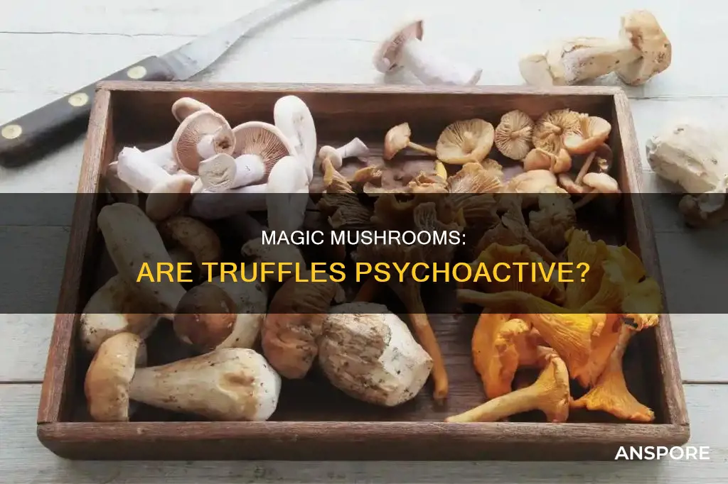 are truffle mushrooms psychoactive