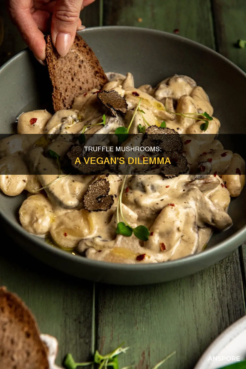 are truffle mushrooms vegan