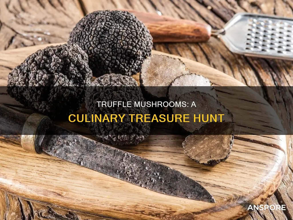 are truffle mushrooms