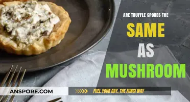 Truffle Spores: Are They Identical to Mushrooms?