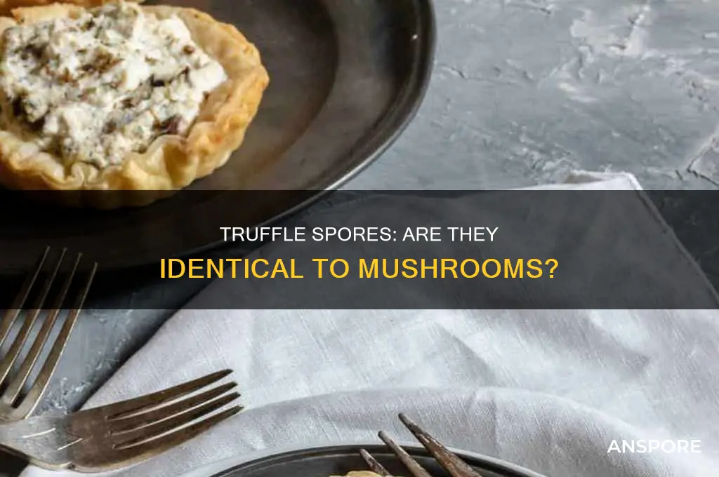 are truffle spores the same as mushroom