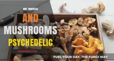 Psychedelic Truffles and Mushrooms: What's the Difference?