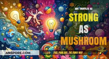 Truffles vs. Mushrooms: Which Fungi Packs a Stronger Punch?