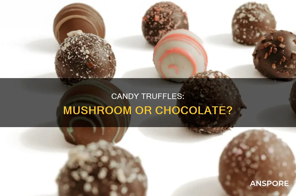 are truffles candy made from truffles mushrooms
