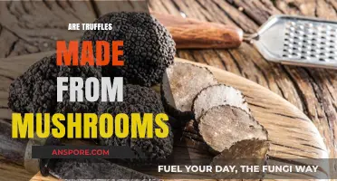 Truffles and Mushrooms: What's the Connection?