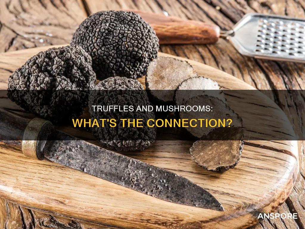 are truffles made from mushrooms