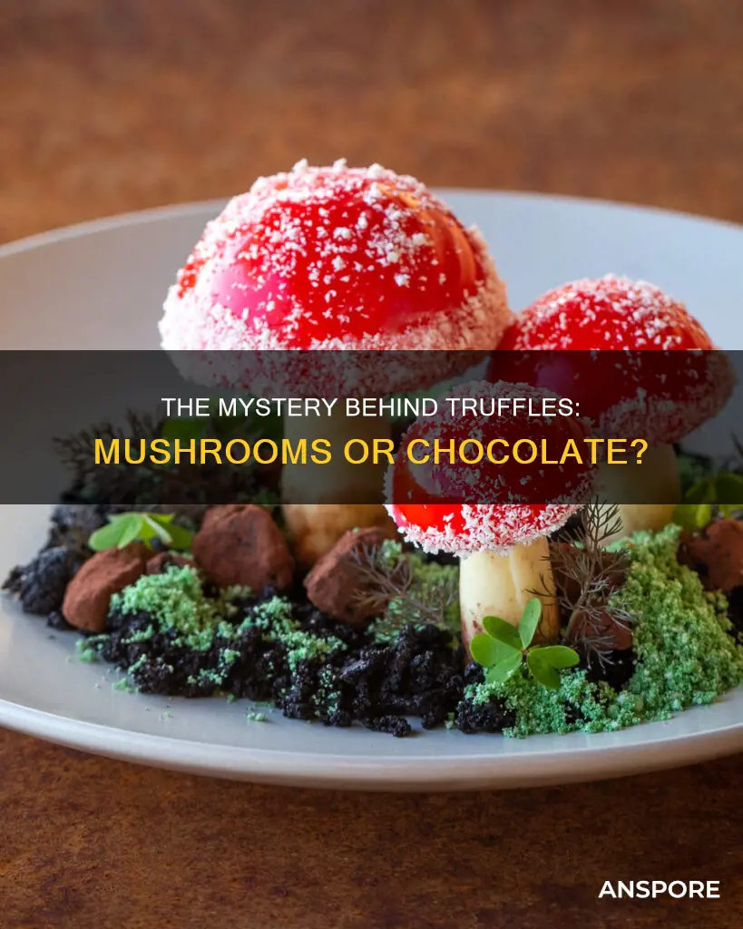 are truffles mushrooms or chocolate