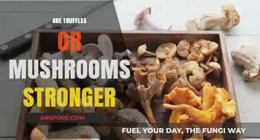 Truffles vs Mushrooms: Which Fungi is More Potent?