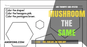 Trumpet and Oyster Mushrooms: What's the Difference?