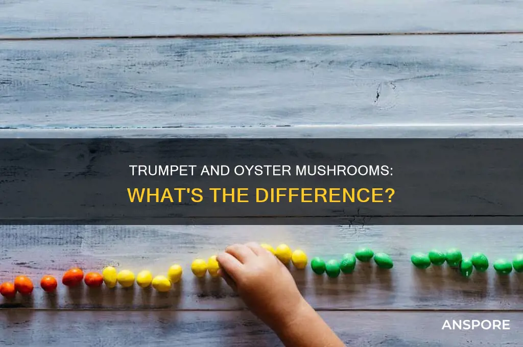 are trumpet and oyster mushrooms the same