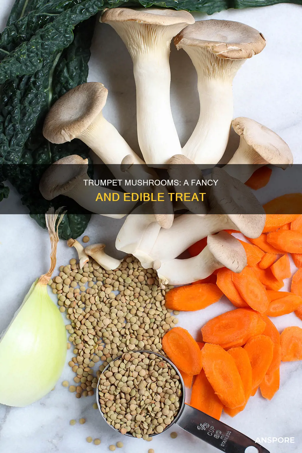 are trumpet mushrooms fancy