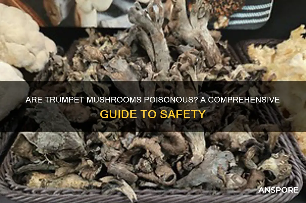 are trumpet mushrooms poisonous