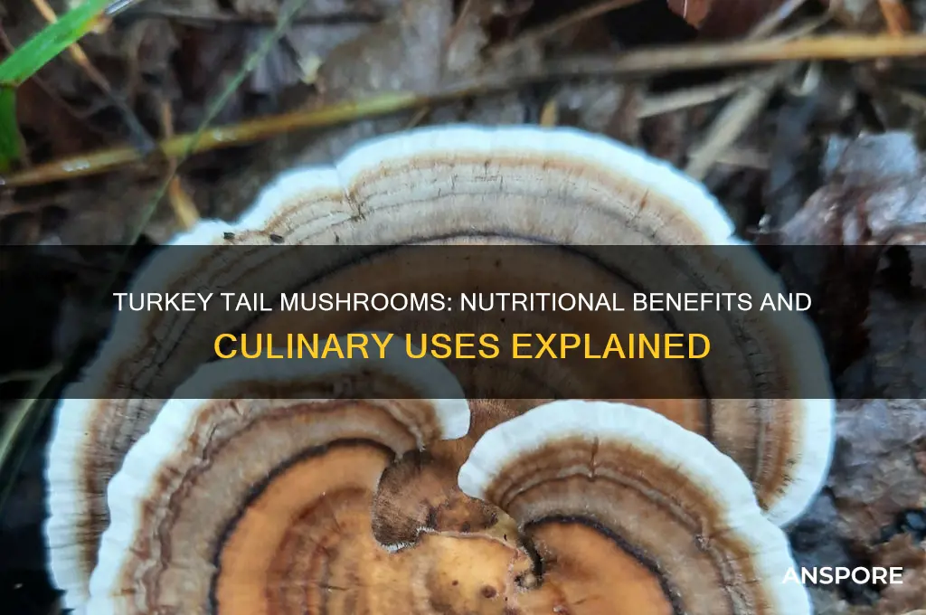 are turkey tail mushrooms good to eat