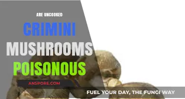 Are Uncooked Crimini Mushrooms Poisonous? Facts and Safety Tips
