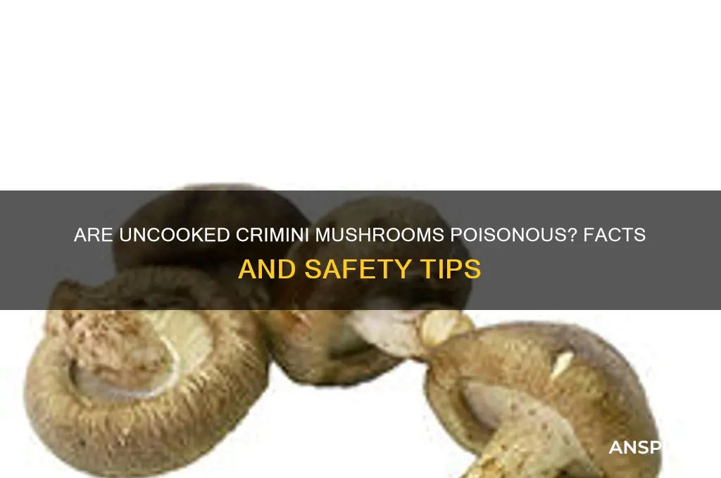 are uncooked crimini mushrooms poisonous