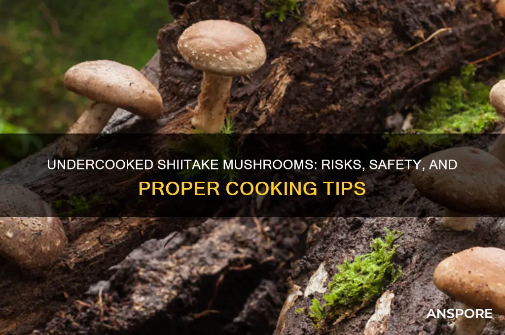 are undercooked shiitake mushrooms bad