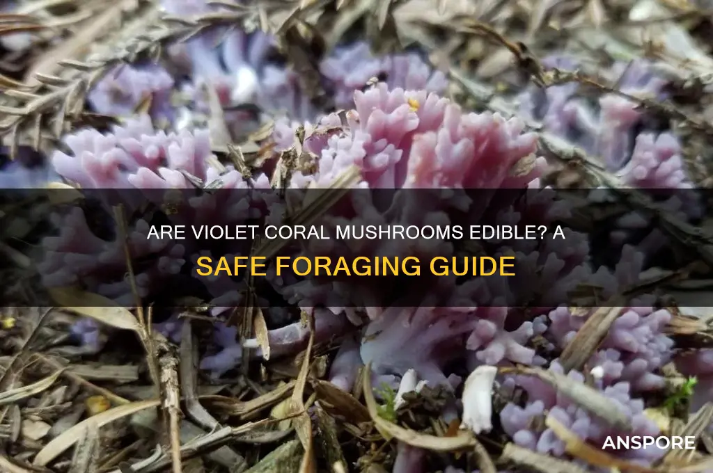 are violet coral mushrooms edible