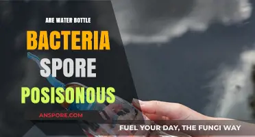 Are Water Bottle Bacteria Spores Poisonous? Uncovering the Truth