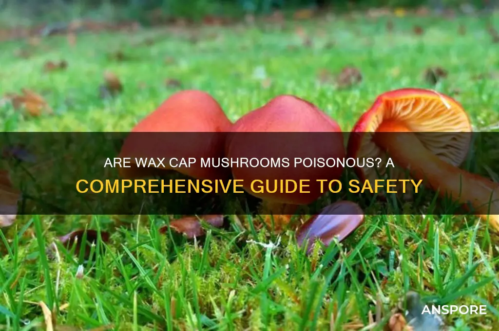 are wax cap mushrooms poisonous