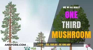 Mushrooms Among Us: The Human-Fungus Connection