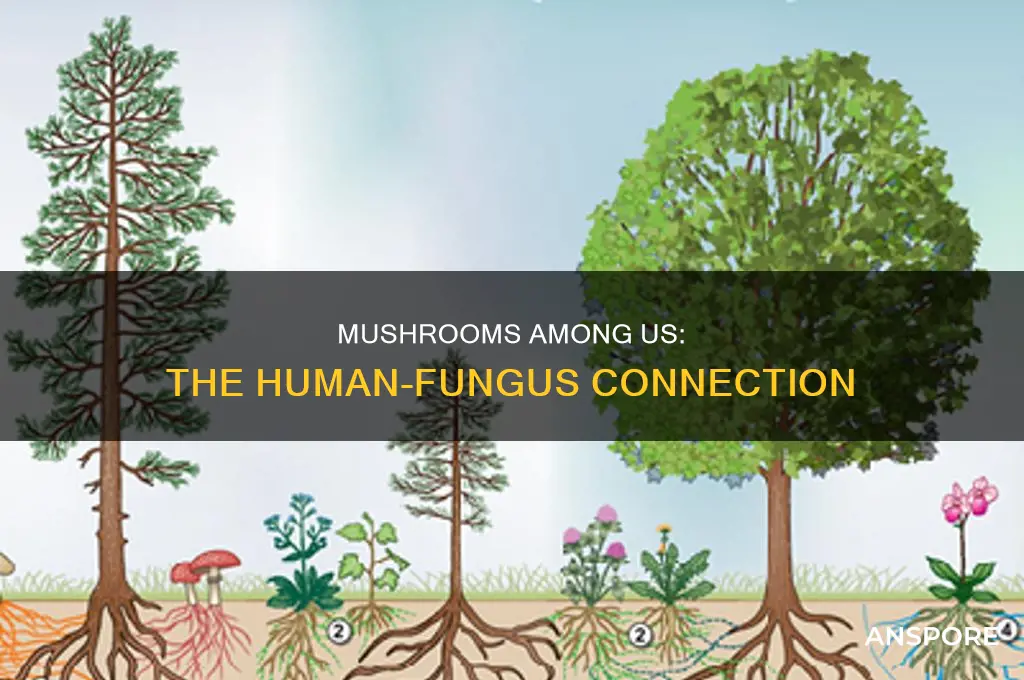 are we all really one third mushrooms