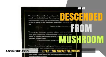 The Fungal Link: Our Mushroom Ancestry