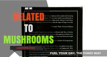 Our Ancient Kin: Mushrooms and Us