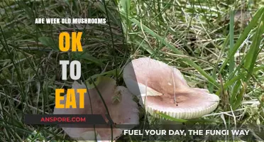 Are Week-Old Mushrooms Safe to Eat? A Quick Guide