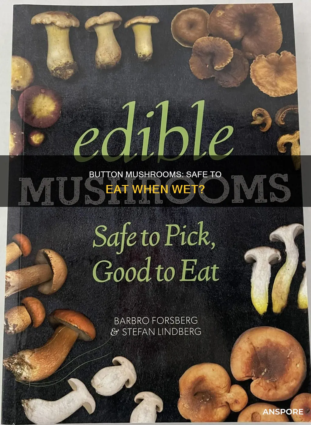 are wet button mushrooms safe