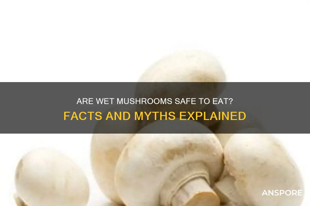 are wet mushrooms bad